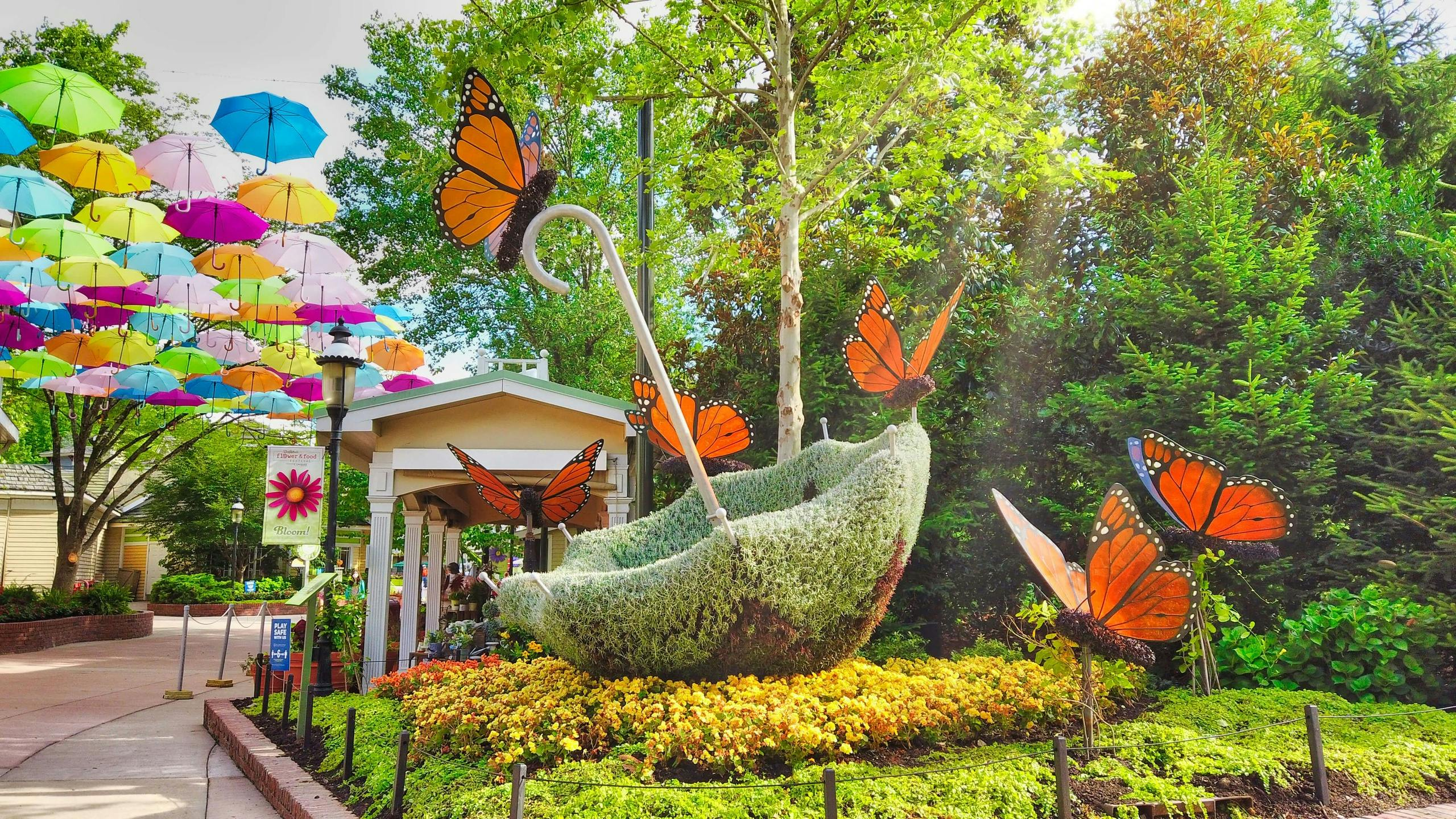 Dollywood: Day Trip from Nashville - Photo 1 of 5